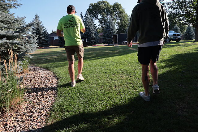 Two crew members seen from behind walking across a mown lawn toward a job, the one on the left in a lime-green Hols & Co. LLC General Construction shirt, with a pickup and an enclosed trailer parked at the street beyond a row of spruce.